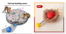 Load image into Gallery viewer, PurrPlay Self-Rolling Cat Toy Ball
