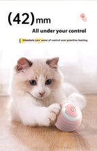 Load image into Gallery viewer, Smart Interactive Dog Toy Ball