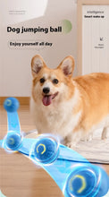 Load image into Gallery viewer, Smart Interactive Dog Toy Ball