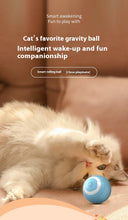 Load image into Gallery viewer, Smart Interactive Dog Toy Ball
