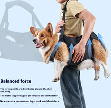 Load image into Gallery viewer, Dog Injury Travel Auxiliary Strap