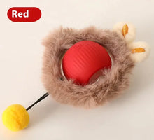 Load image into Gallery viewer, PurrPlay Self-Rolling Cat Toy Ball