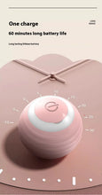 Load image into Gallery viewer, Smart Interactive Dog Toy Ball